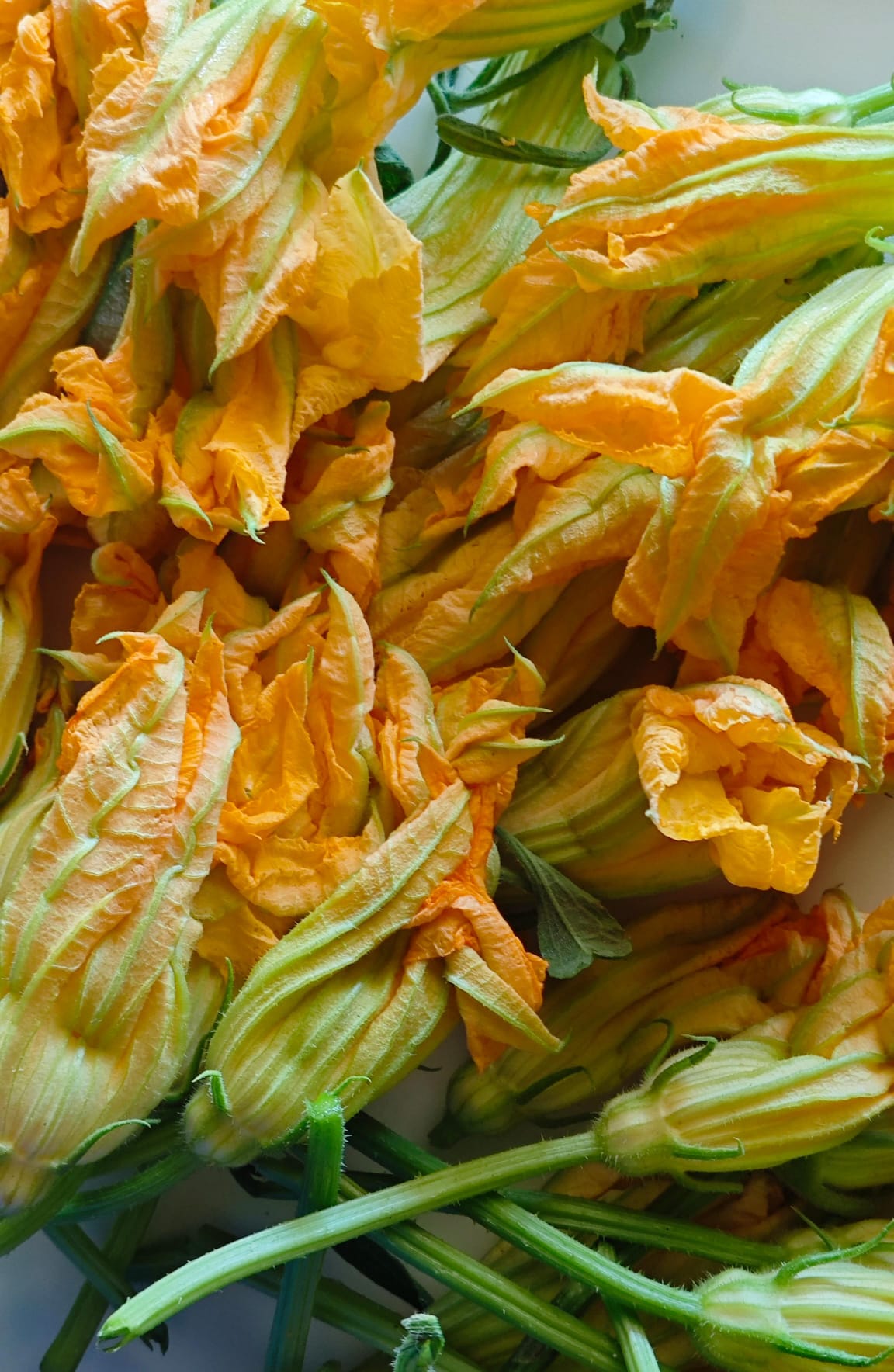 Fiori di Zucca ripieni e gluten free🌽 — Passo 1