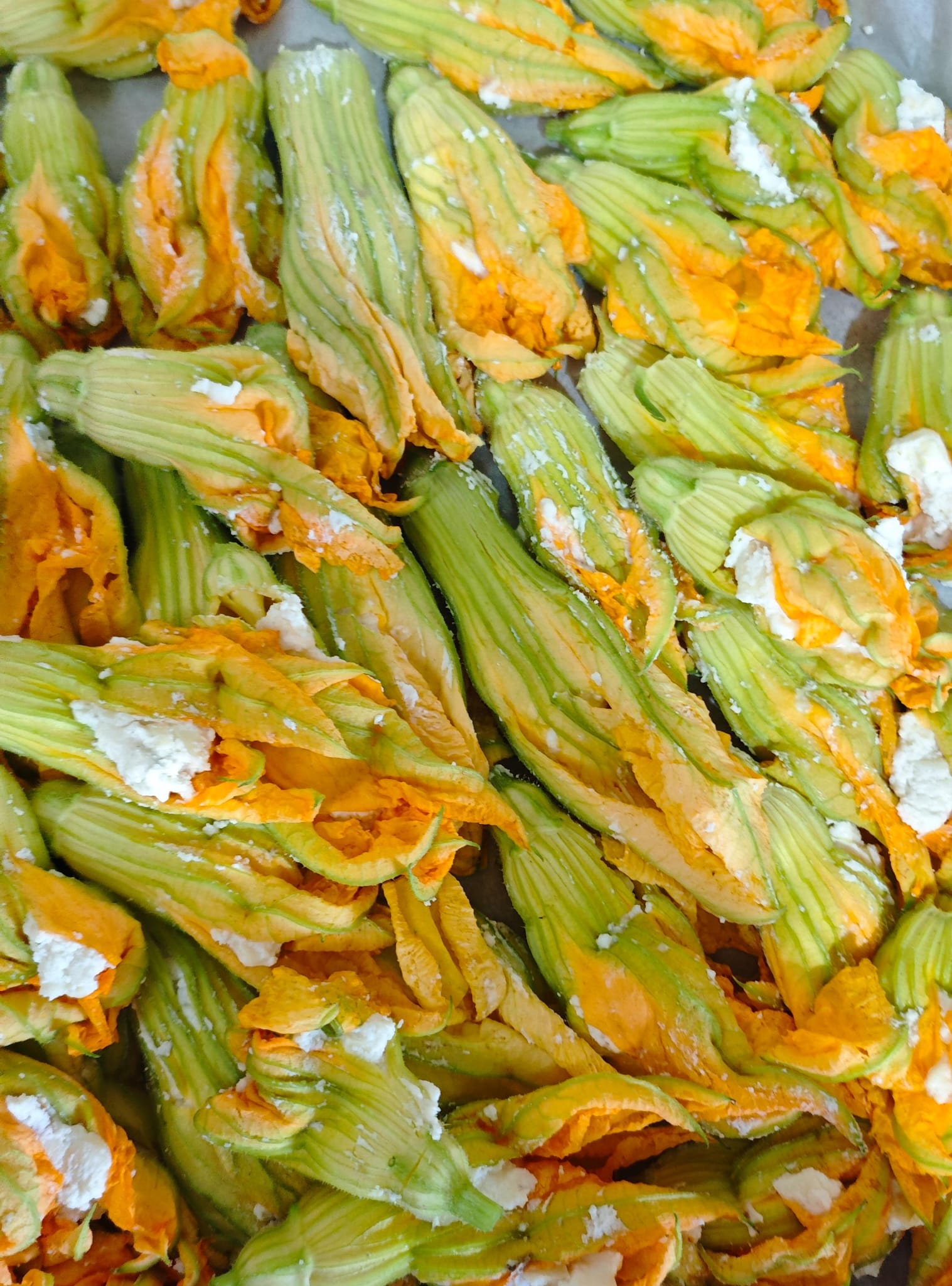 Fiori di Zucca ripieni e gluten free🌽 — Passo 3