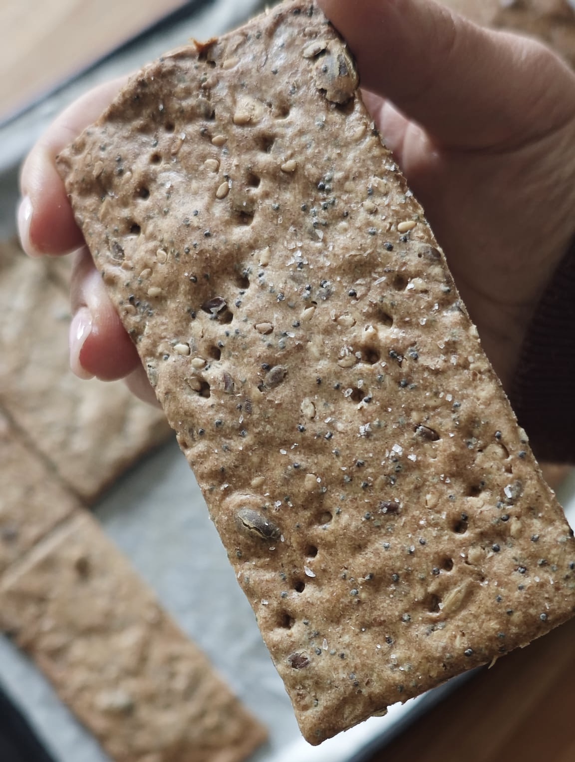 Crackers Integrali ai Semi🤎 - ricetta di afuocolento