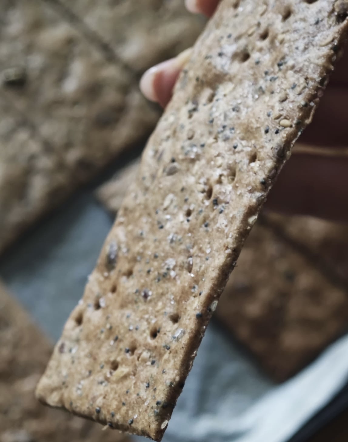 Crackers Integrali ai Semi🤎 — Passo 3