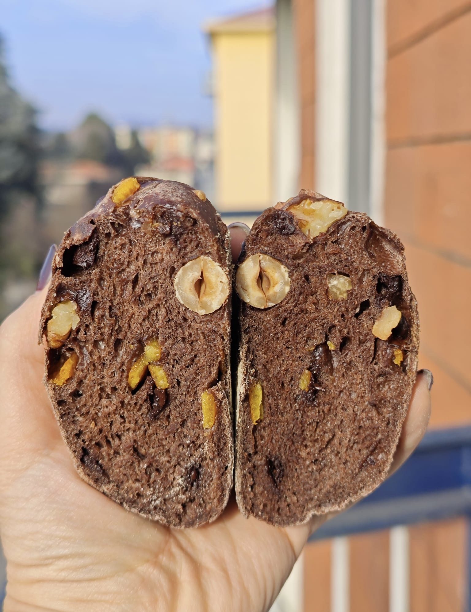 Pane al cioccolato, nocciole e scorzette candite - ricetta di afuocolento